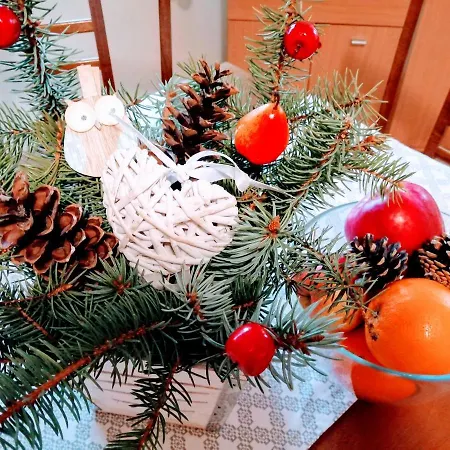 Paula -lyzovacka V Jasnej *